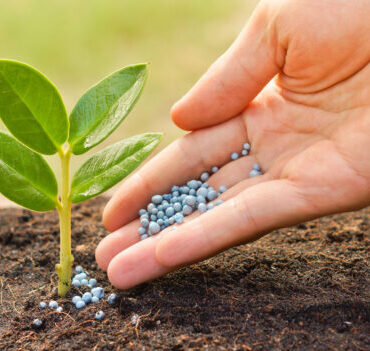 Fertilizer