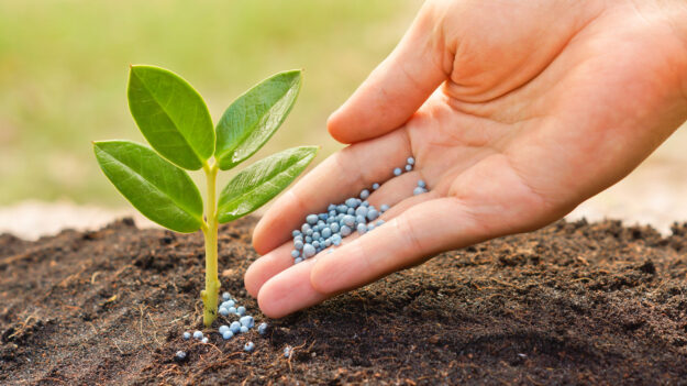 Fertilizer